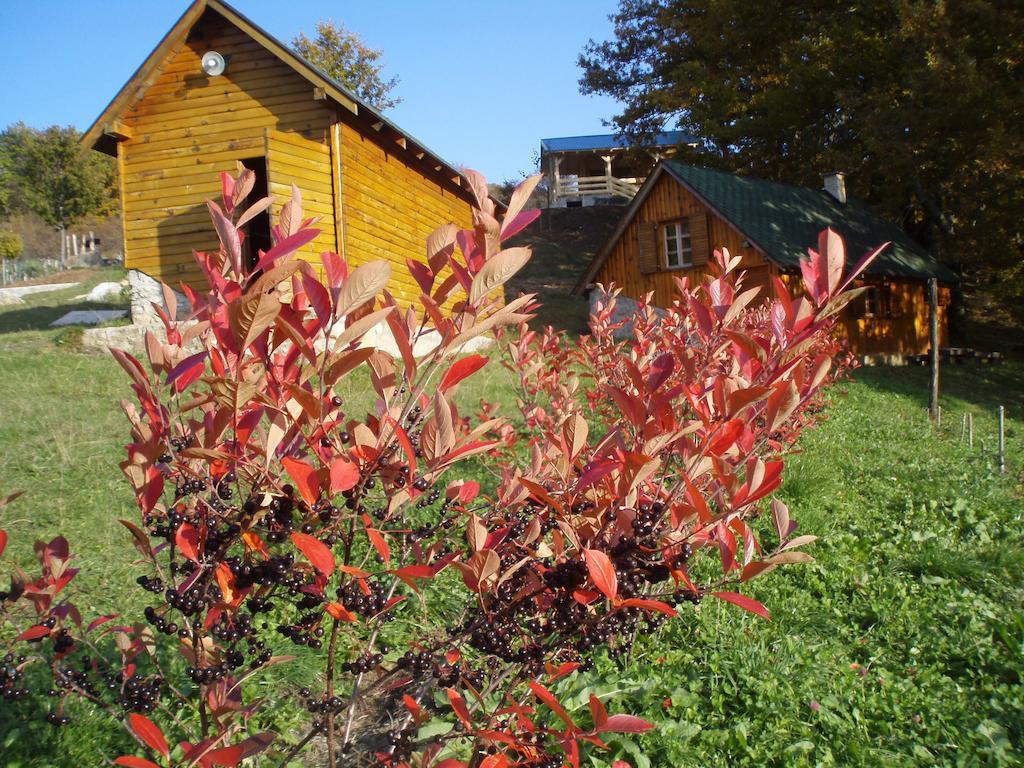 Guest House Tara Canyon Плевля Экстерьер фото