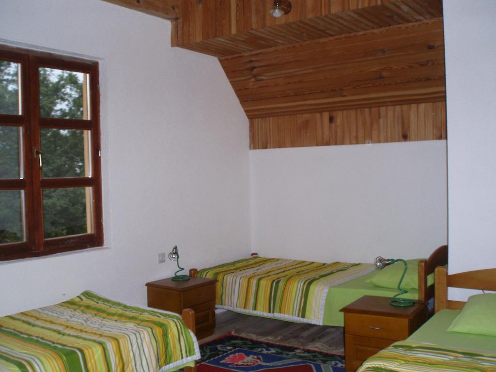 Guest House Tara Canyon Плевля Номер фото
