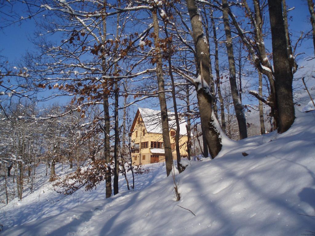 Guest House Tara Canyon Плевля Экстерьер фото