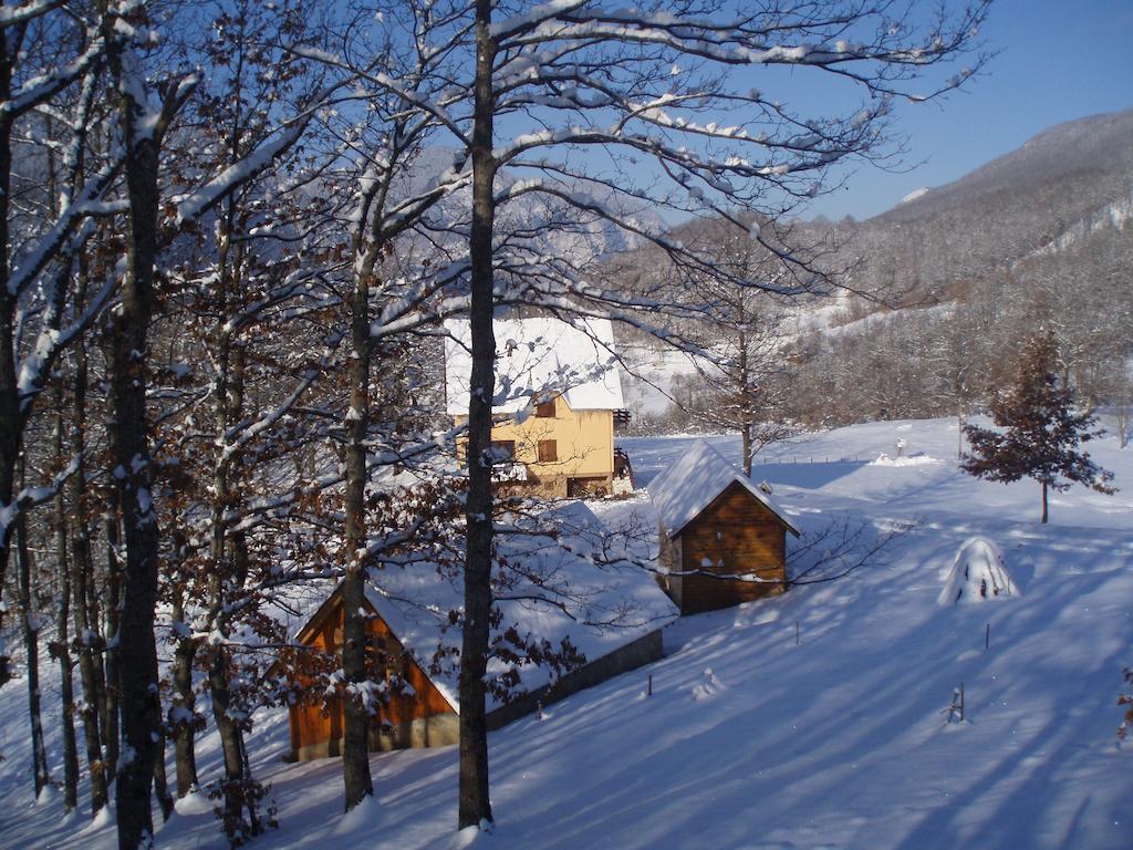 Guest House Tara Canyon Плевля Экстерьер фото